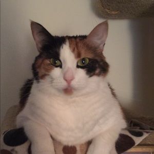 Meet your Posher, Maddi